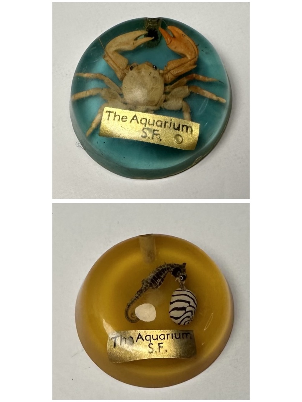 VINTAGE 1955 STEINHART AQUARIUM SF RESIN KEYCHAIN FOBS – CRAB & SEAHORSE